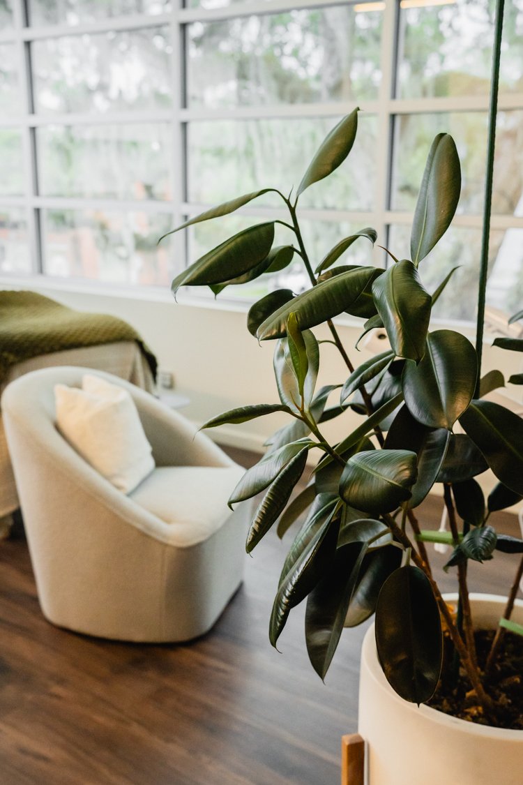 Peel season in Savannah: how to prep your skin — TEMPLE Journal